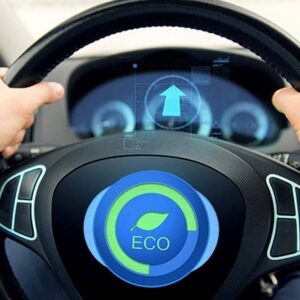 eco 1000x667